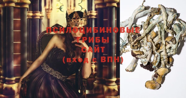 дмт Армянск