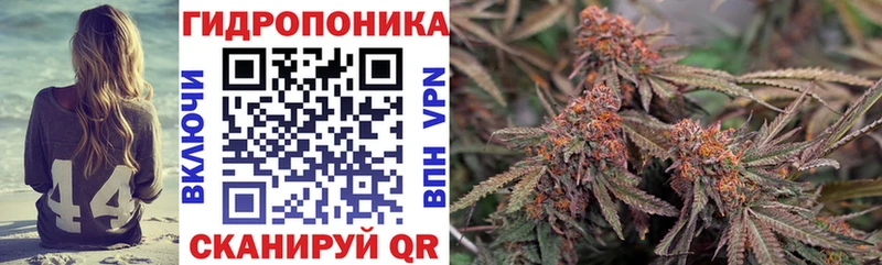 где продают   omg ONION  Канабис VHQ  Устюжна 